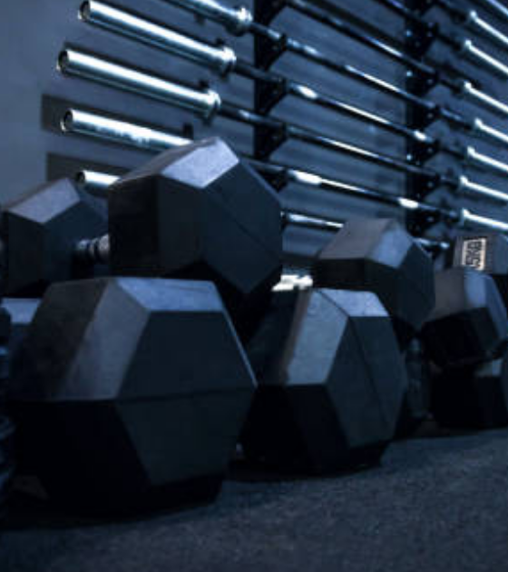 Dumbbells 101: How Beginners Can Start Strength Training